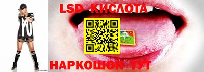 гидра Славгород