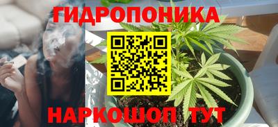 гидра Славгород