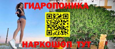 гидра Славгород