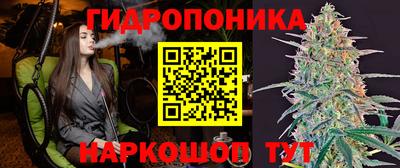 дмт Славянск-на-Кубани