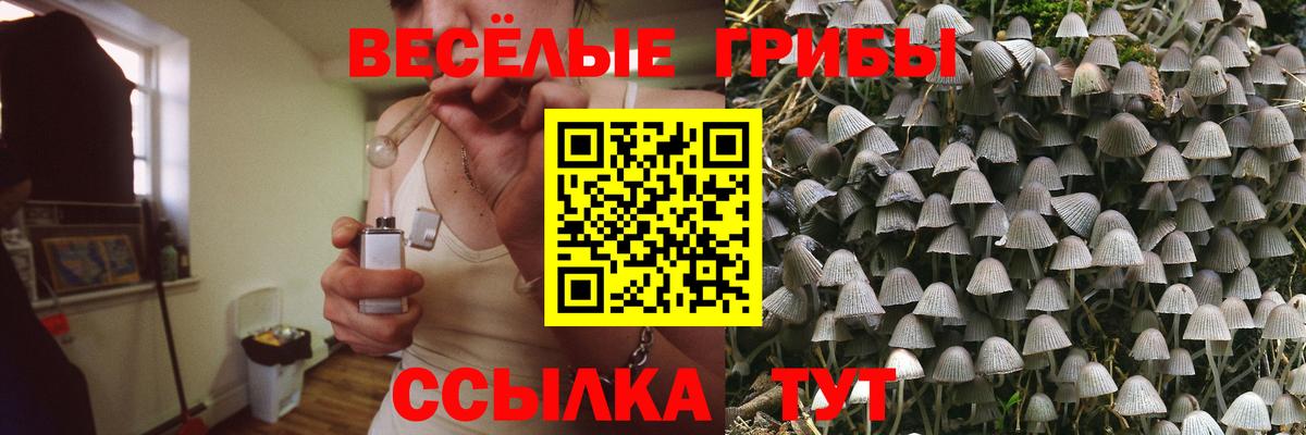 Псилоцибиновые грибы Psilocybine cubensis  Вход с VPN  Галлюциногенные грибы MAGIC MUSHROOMS  Нижний Новгород 